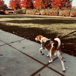 Meet your Posher, Mj